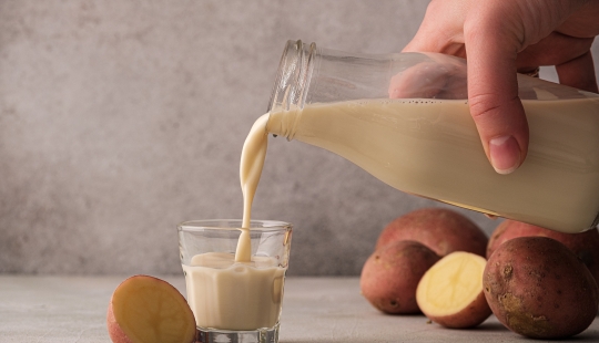 La leche de patata es un nuevo éxito entre los productos de nutrición adecuada