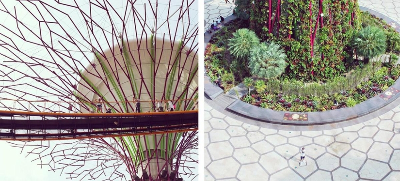 La lente entre nosotros