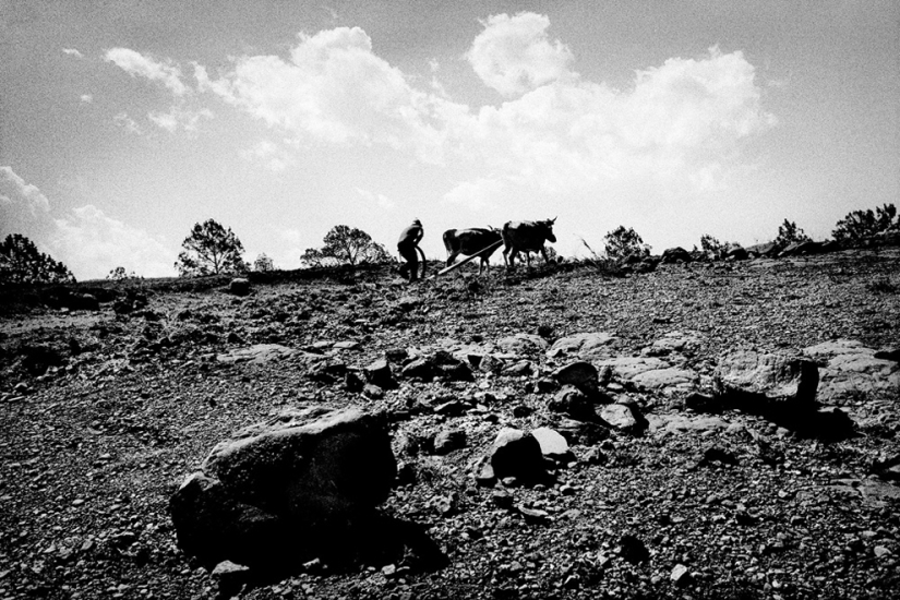 La Mixteca mexicana es el lugar más erosionado de la Tierra La Mixteca mexicana es el lugar más erosionado de la Tierra