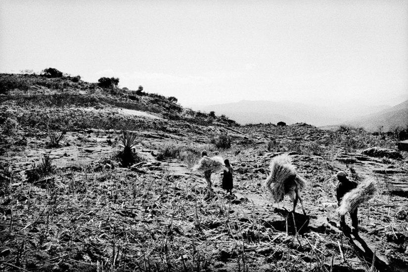 La Mixteca mexicana es el lugar más erosionado de la Tierra La Mixteca mexicana es el lugar más erosionado de la Tierra
