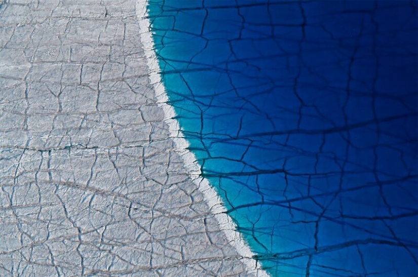 La naturaleza fascina: fotos de los ganadores del premio al Fotógrafo de Naturaleza del Año 2020 de GDT