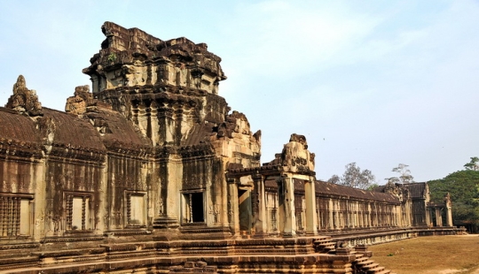 La paloma de crin es el pariente más cercano del pájaro dodo.