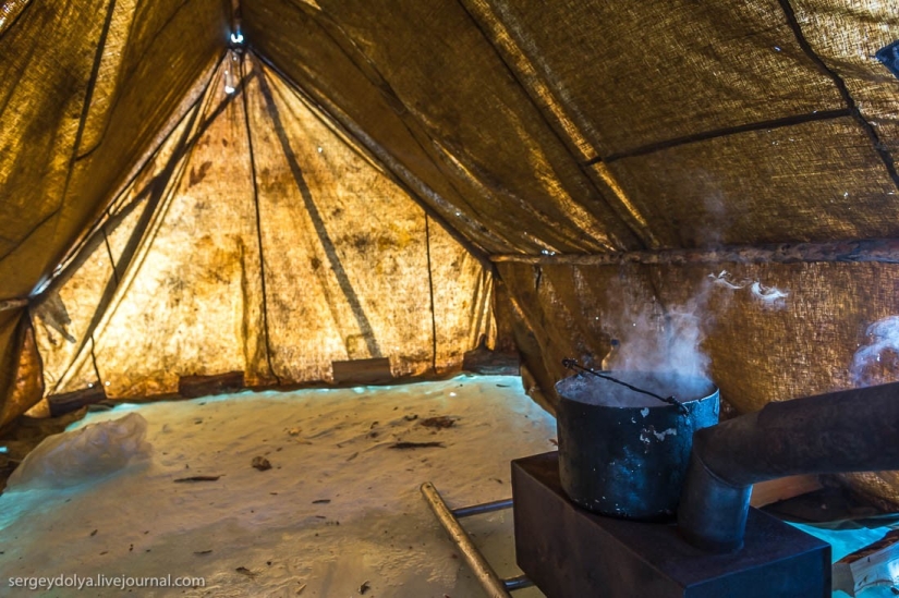 La peor pesadilla del camionero La peor pesadilla del camionero