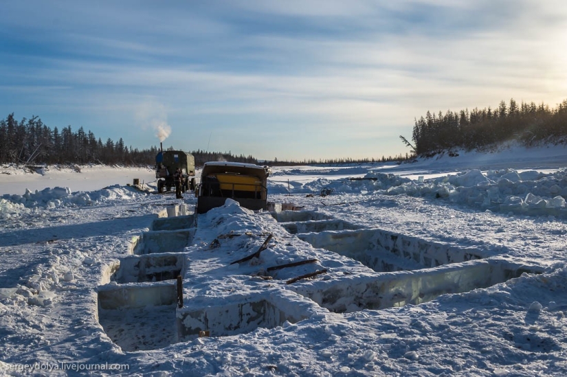 La peor pesadilla del camionero La peor pesadilla del camionero