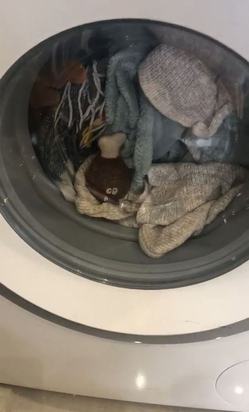 La pequeña salchicha lloró durante una hora mientras lavaban su juguete favorito en una máquina de escribir La pequeña salchicha lloró durante una hora mientras lavaban su juguete favorito en una máquina de escribir