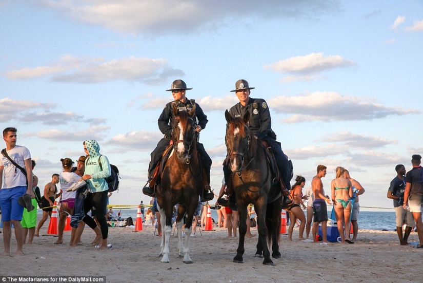 "La primavera está llegando, dar paso a la primavera!": fiestas estudiantiles en Estados Unidos