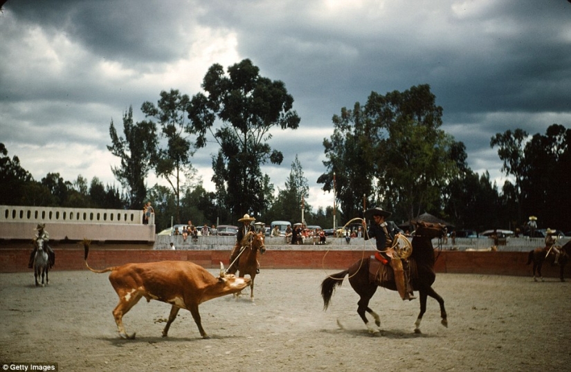 La Riviera Mexicana de la década de 1950, cuando Acapulco aún no era el feudo de los traficantes de drogas