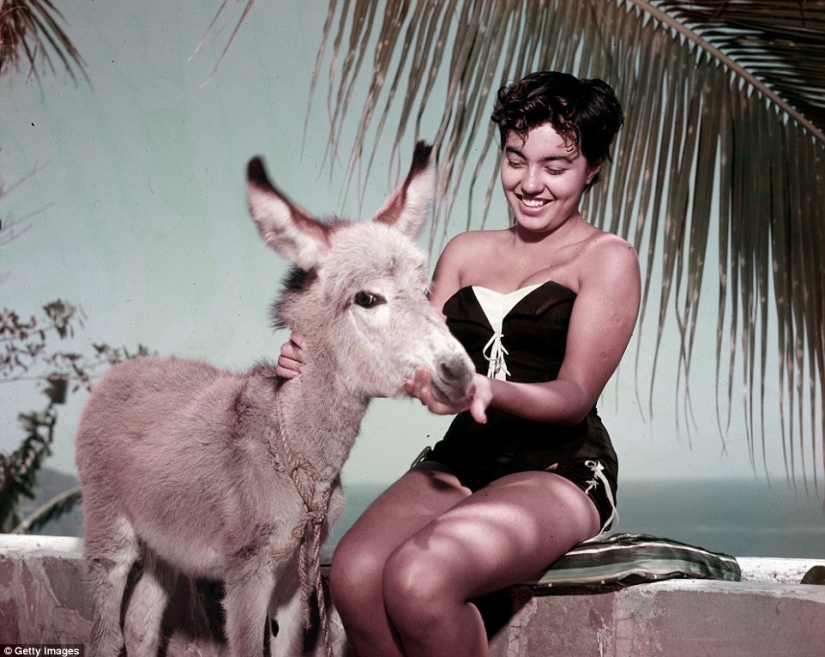 La Riviera Mexicana de la década de 1950, cuando Acapulco aún no era el feudo de los traficantes de drogas