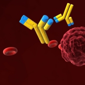 La salvación está llegando: una nueva vacuna contra el VIH ha superado con éxito las pruebas en humanos