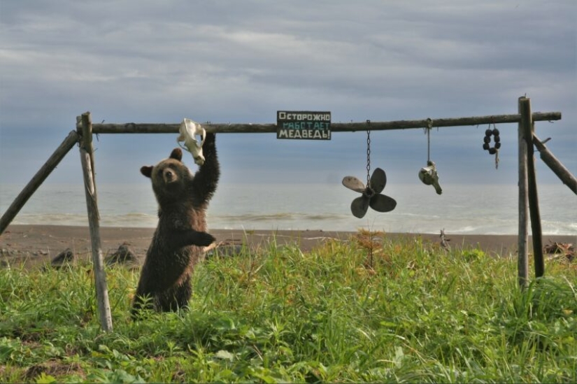 La Sociedad Geográfica Rusa ha determinado los ganadores del VII concurso de fotografía "El país más hermoso" La Sociedad Geográfica Rusa ha determinado los ganadores del VII concurso de fotografía "El país más hermoso"