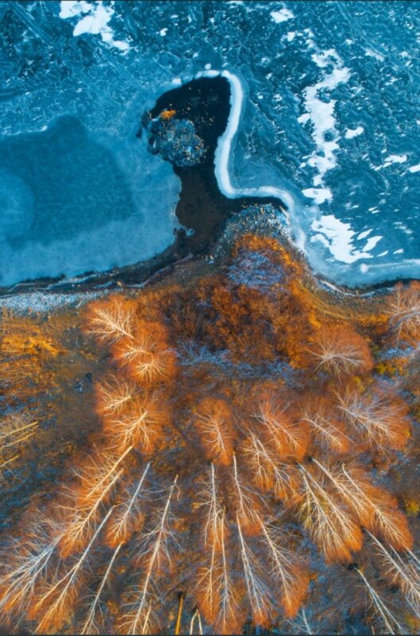 La Sociedad Geográfica Rusa ha determinado los ganadores del VII concurso de fotografía "El país más hermoso" La Sociedad Geográfica Rusa ha determinado los ganadores del VII concurso de fotografía "El país más hermoso"