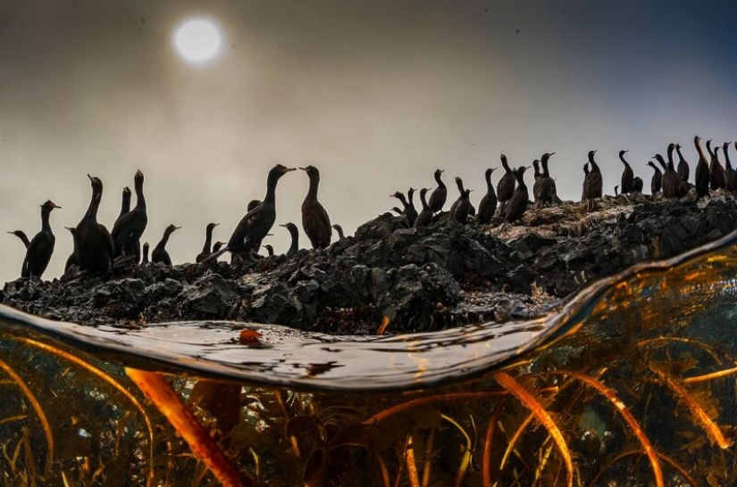 La Sociedad Geográfica Rusa ha determinado los ganadores del VII concurso de fotografía "El país más hermoso" La Sociedad Geográfica Rusa ha determinado los ganadores del VII concurso de fotografía "El país más hermoso"