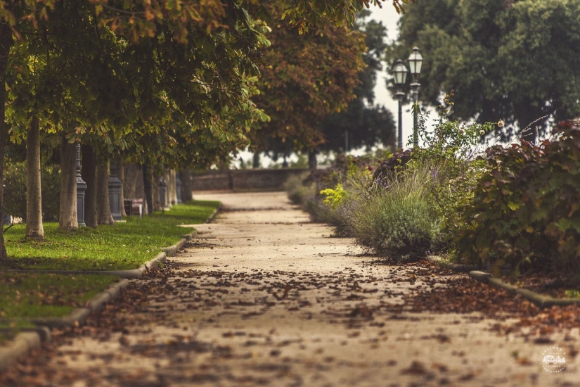 La verdadera Italia. Primera Parte