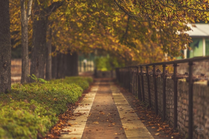 La verdadera Italia. Primera Parte