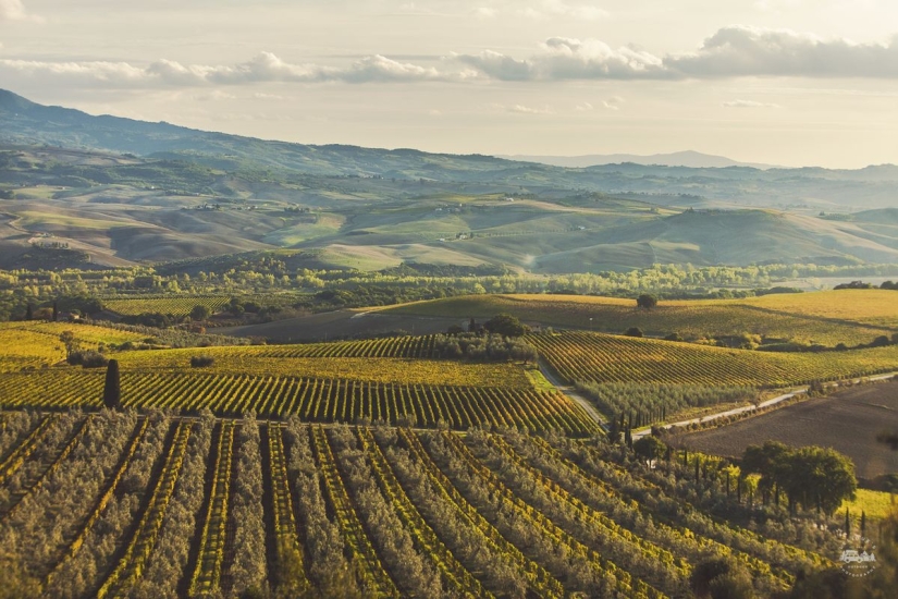 La verdadera Italia. Primera Parte