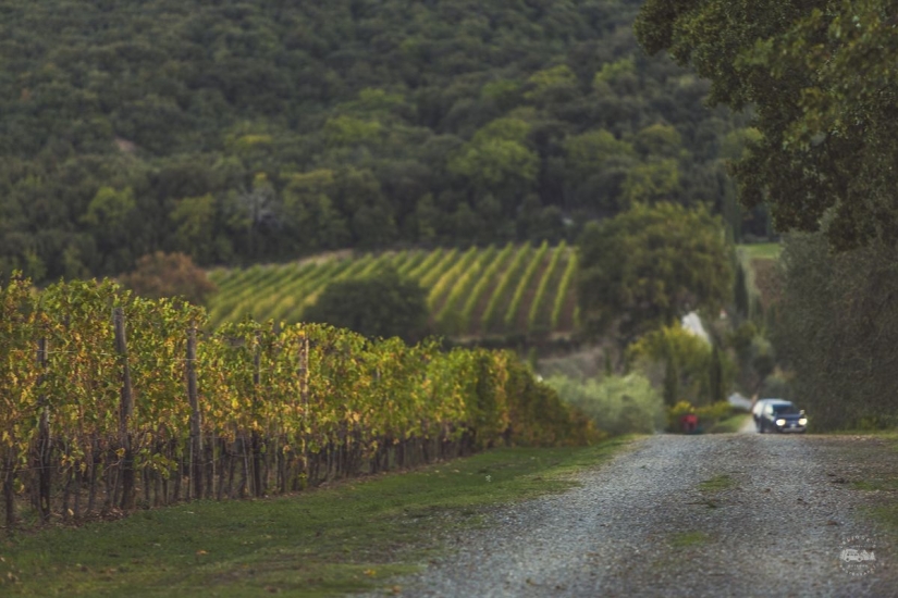 La verdadera Italia. Primera Parte
