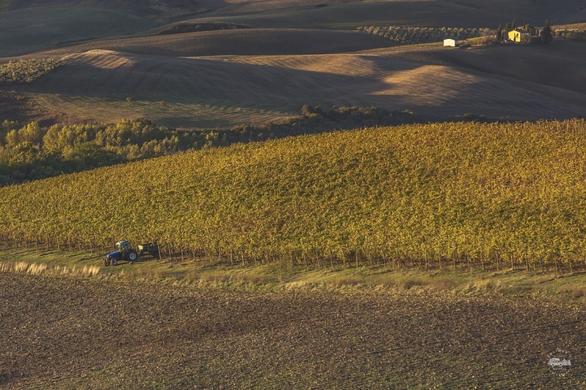 La verdadera Italia. Primera Parte