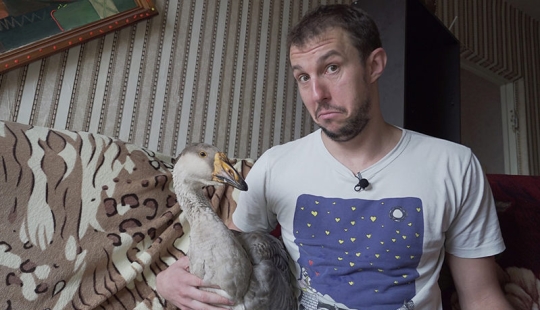 La vida con un ganso o la vida cotidiana de un bloguero de Minsk