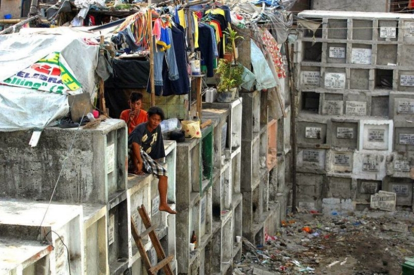 La vida en el cementerio: 13 fotos