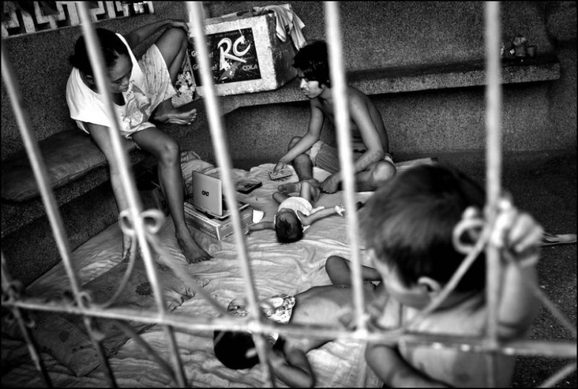 La vida en el cementerio: 13 fotos