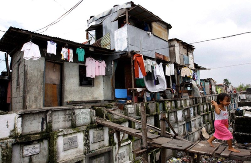 La vida en el cementerio: 13 fotos