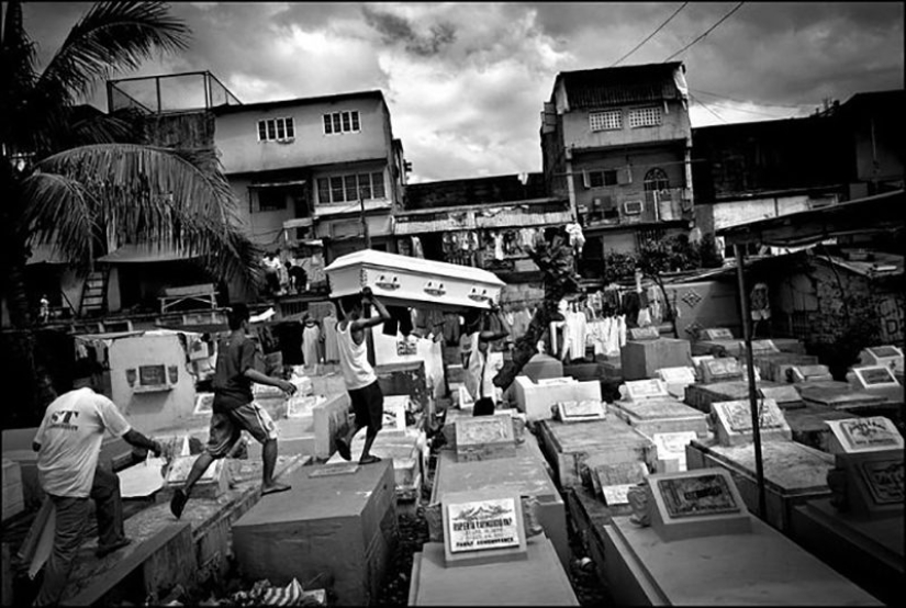 La vida en el cementerio: 13 fotos