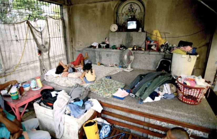 La vida en el cementerio: 13 fotos