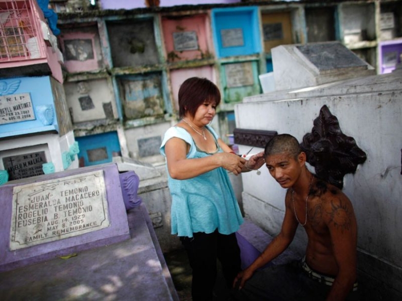 La vida en el cementerio: 13 fotos