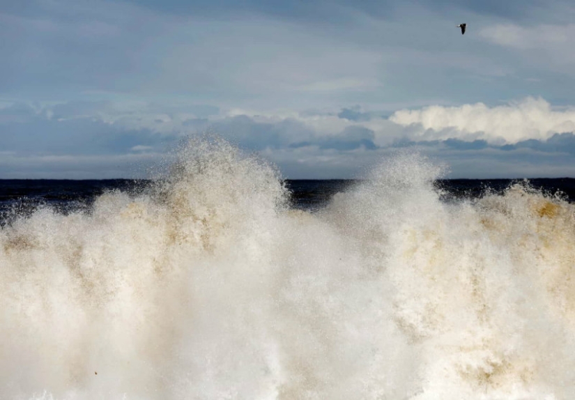 La vida es como en prisión: la costa de Japón, afectada por el tsunami de 2011, estaba rodeada por un muro de 12 metros
