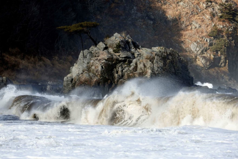 La vida es como en prisión: la costa de Japón, afectada por el tsunami de 2011, estaba rodeada por un muro de 12 metros