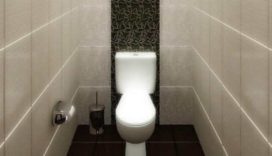 La vuelta al mundo por 80 inodoros