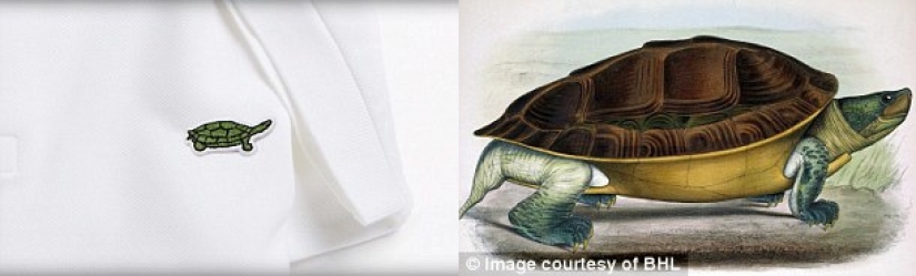 Lacoste lanzará un polo, donde el cocodrilo en el logotipo será reemplazado por especies de animales en peligro de extinción