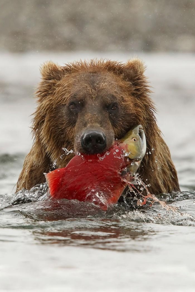 Landscapes of America's National Parks Landscapes of America's National Parks