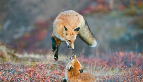 Landscapes of America's National Parks Landscapes of America's National Parks