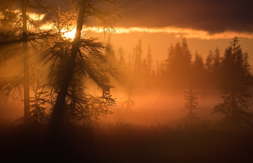 Las 20 mejores fotos tomadas al amanecer