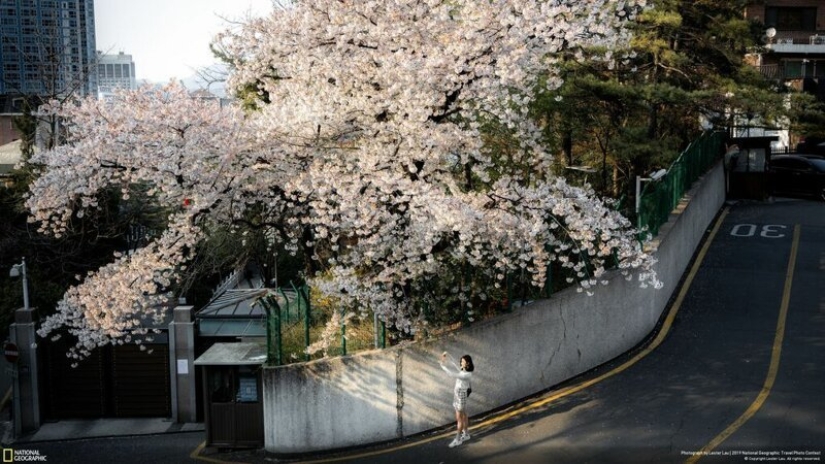 las 26 mejores fotos del Concurso de Fotografía de Viajes de National Geographic 2019
