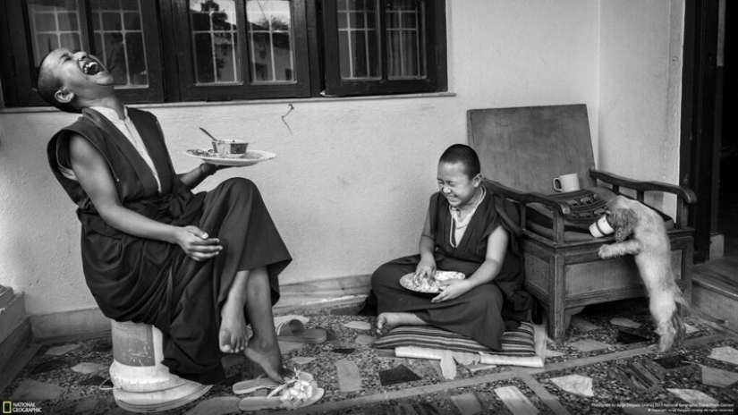 las 26 mejores fotos del Concurso de Fotografía de Viajes de National Geographic 2019