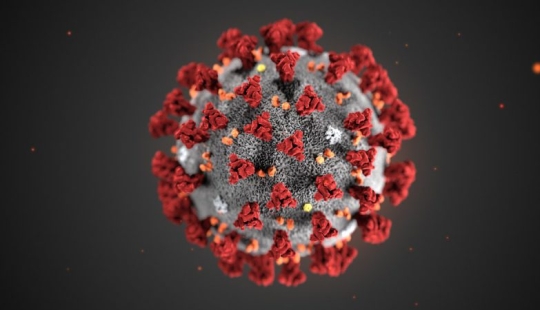 Las 5 teorías más locas de la aparición del coronavirus