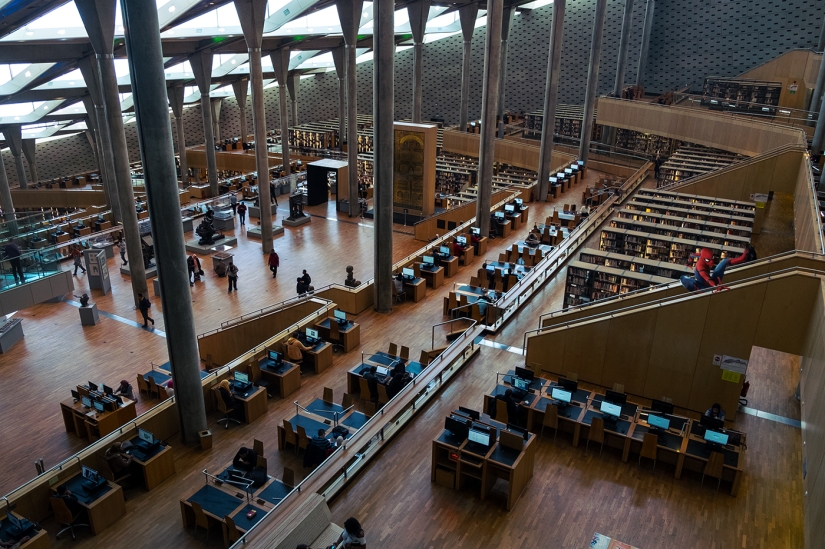 Las aventuras egipcias de Lovygin continúan: un viaje a la Biblioteca de Alejandría Las aventuras egipcias de Lovygin continúan: un viaje a la Biblioteca de Alejandría