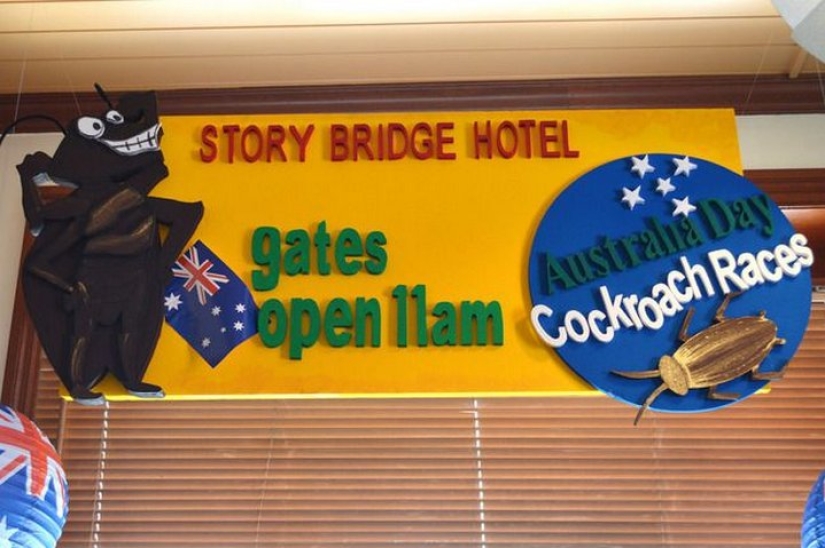 Las competiciones más inusuales que se celebran en el mundo