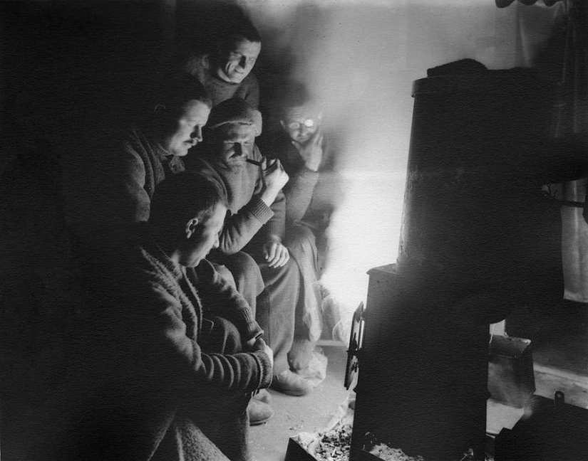 Las fotos más impresionantes del Concurso de Fotografía de Nacimientos 2020