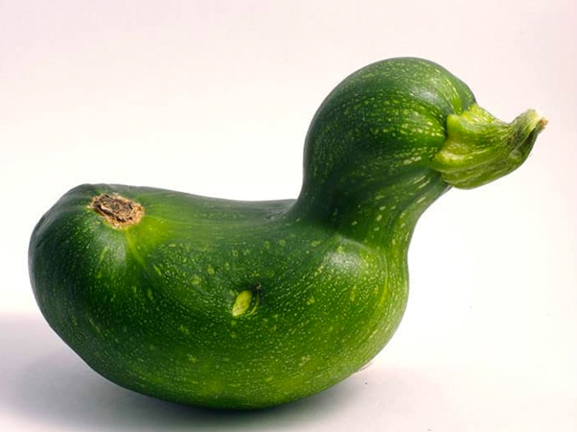 Las frutas y verduras más extrañas que se encuentran en el jardín.