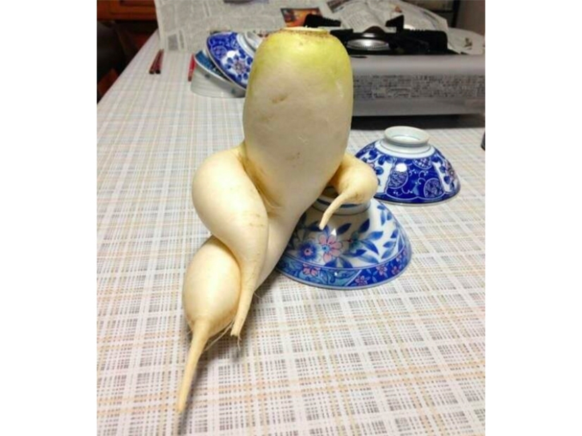 Las frutas y verduras más extrañas que se encuentran en el jardín.