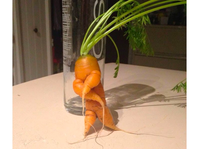 Las frutas y verduras más extrañas que se encuentran en el jardín.