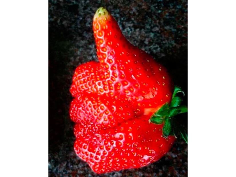 Las frutas y verduras más extrañas que se encuentran en el jardín.