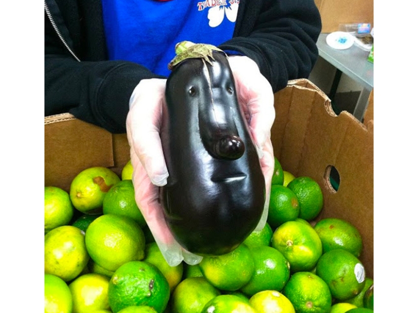 Las frutas y verduras más extrañas que se encuentran en el jardín.