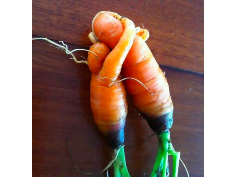 Las frutas y verduras más extrañas que se encuentran en el jardín.