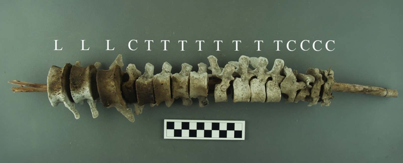 Las instalaciones de espinas humanas encontradas en Perú sorprendieron a los arqueólogos