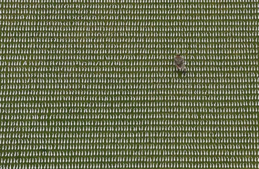 Las mejores fotos de 2018: fotografía aérea de Reuters Las mejores fotos de 2018: fotografía aérea de Reuters