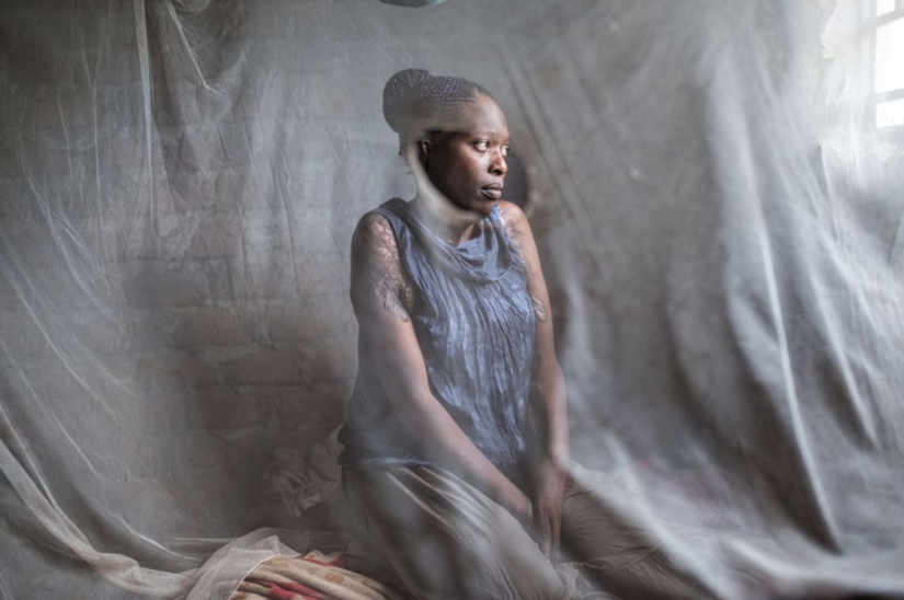 Las mejores fotos de la lista de finalistas del 17º Concurso de Fotografía del Smithsonian